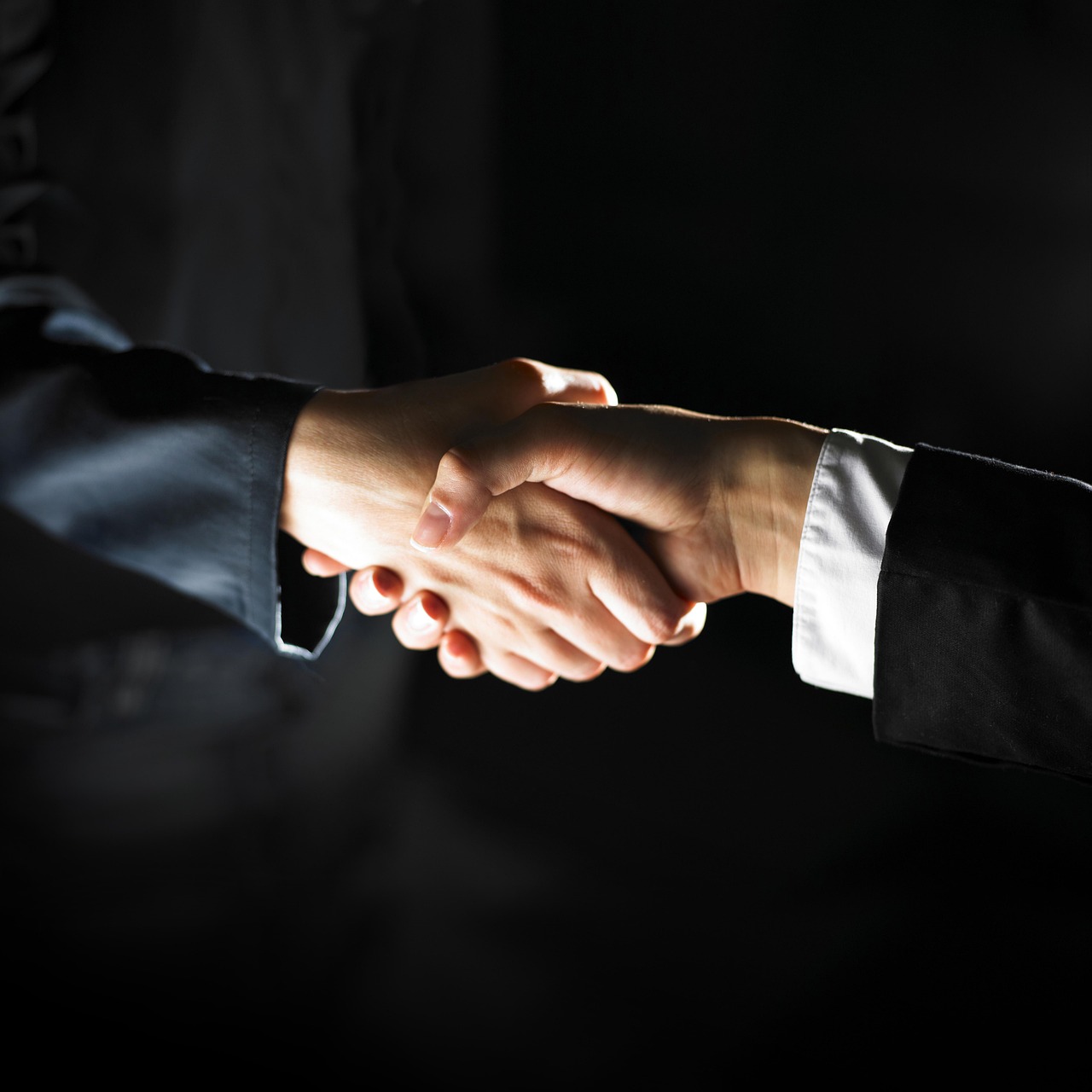 Professioneller Händedruck als Symbol für Kontakt und vertrauensvolle Zusammenarbeit